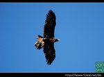 DSC_4865fs