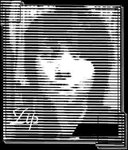 Photo-00sd69