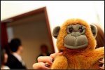 IMG_0764