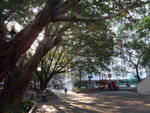 ģ�w��
DSC05023