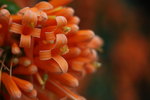 5D2_8563/F2.8