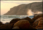 Shek O 12s