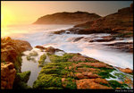 Shek O 18s