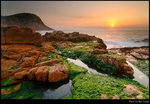 Shek O 22s