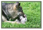 Frame_IMG_6618 eweb