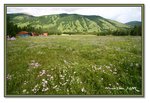 Frame_IMG_6683 eweb