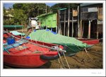 IMG_0607 e