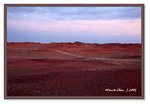 Frame_IMG_7648web