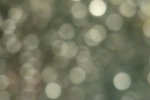 R0010491