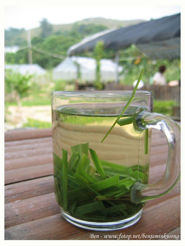 香茅茶