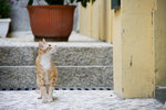 20091018-IMG_3063