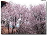 20120317_083