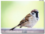 20120522_006