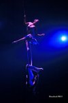 IMG_6249a
