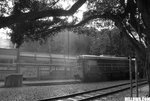 DSC_4517A1