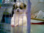 ChuChu 2 months 