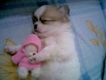 Zzzzzz....