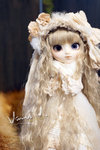 DSC09041