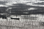 DSC07193z