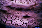 PICT0043z
