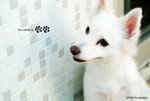 QQ06