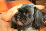 DSC_2549_resize