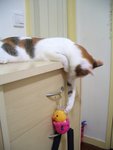 �N���o��....