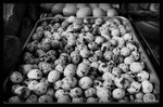 B&W - �J�J