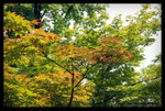����-DSC_0099