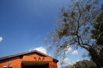 IMG_6981_resize