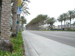 DSCF00011