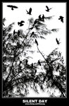 DSC_0056ps