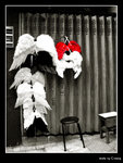 Where's my angel ?
