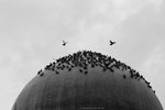 IMG_8865a