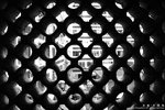 IMG_0160a copy