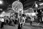 IMG_0560a