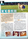 Pet Style Vol 14b