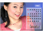 2007-N
