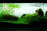 CIMG3279_F