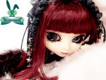 baby_rabbit6