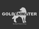 Goldenwater Brand name (L)
