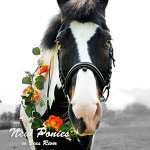 New Ponies