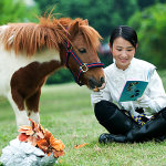 AK & BBhorse
