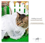 Wedding Accessories 1 02