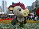 DSC07972-1