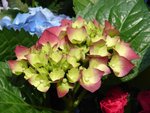 DSC08047-1