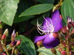 DSC08138-1