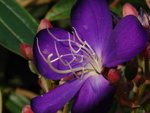 DSC08213-1