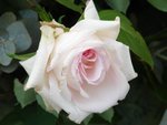 DSC08274-1