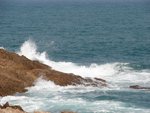 DSC09092-1
